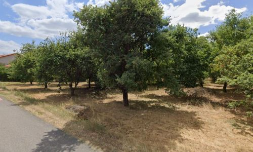 Margès - programme les chênes truffiers